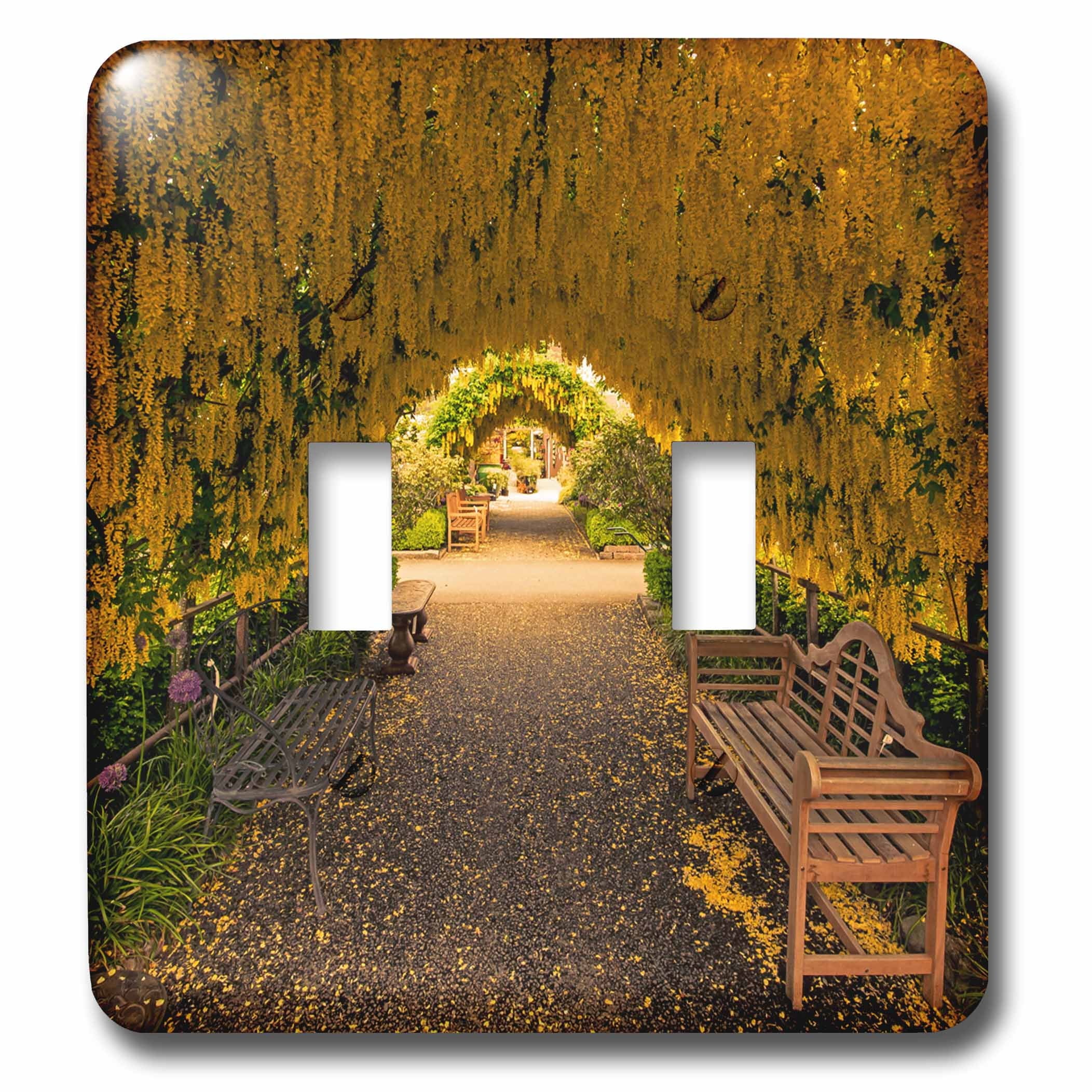 USA, Whidbey Island, Langley. Golden chain tree on a metal frame. double toggle switch lsp-205831-2