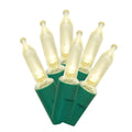 300-Count Warm White LED Mini Christmas Lights with Green Wire, 61.3', Holiday Time