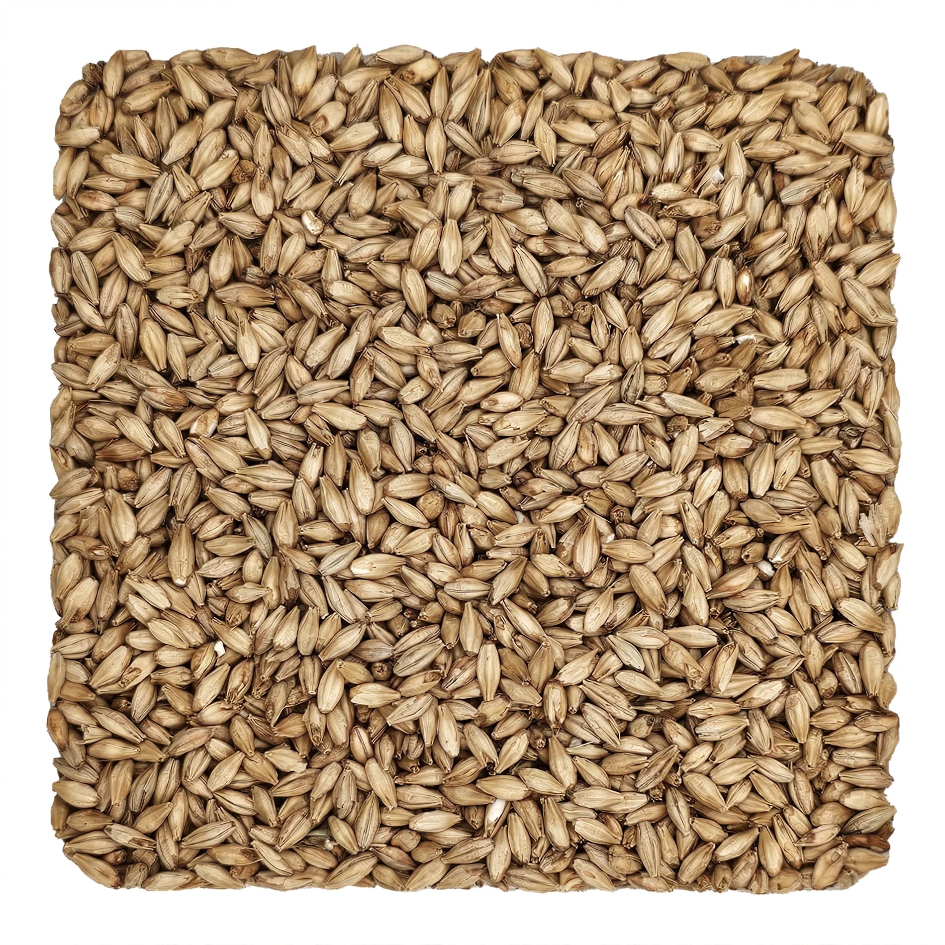 Home Brew Ohio Beechwood Smoked Grain 5lb