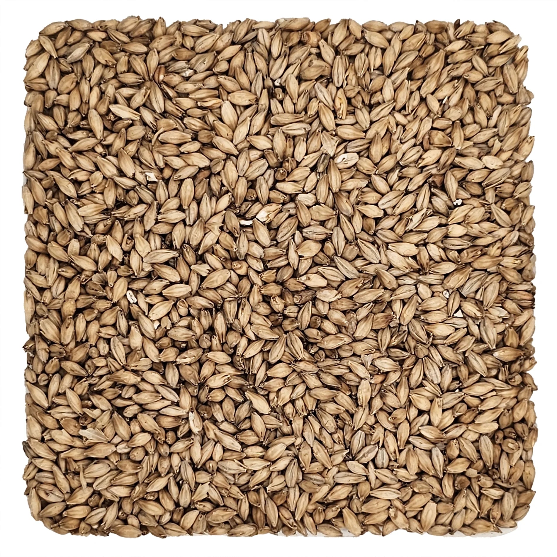 Home Brew Ohio 6-Row Grain 10 lb