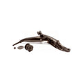 Front Right (Passenger) Lower Suspension Control Arm TOR-CK640324 For 1997-2001 Honda CR-V