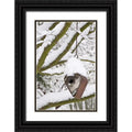 Paulson, Don 23x32 Black Ornate Wood Framed with Double Matting Museum Art Print Titled - WA, Seabeck Heart-shaped bird house in snow