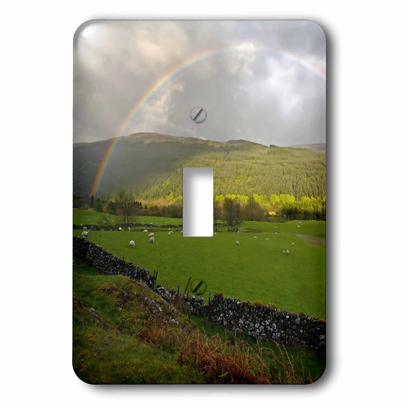Scotland, Scottish Highlands, Rainbow, Sheep - EU36 DSL0002 - David Slater single toggle switch lsp-82807-1