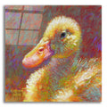 Epic Art 'Ducky 2 by Rita Kirkman, Acrylic Glass Wall Art, 12 x 12